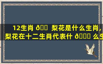 12生肖 🐠 梨花是什么生肖,梨花在十二生肖代表什 🐟 么生肖